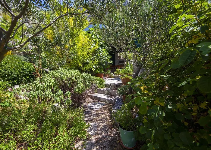 Makar * Μακάρσκα